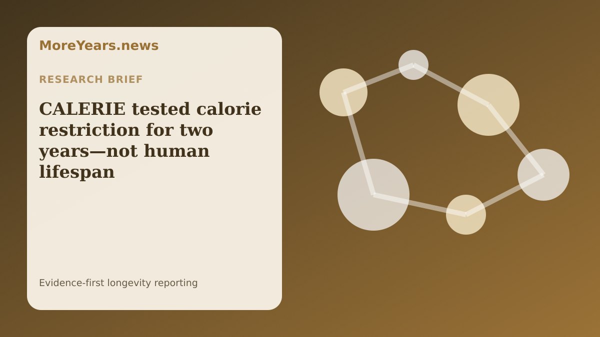 Abstract MoreYears.news editorial illustration for “CALERIE tested calorie restriction for two years—not human lifespan”.